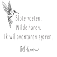 Load image into Gallery viewer, Lief Leven tegeltje met de tekst “Blote voeten. Wilde haren. Ik wil avonturen sparen.” en lijnillustratie van een kolibrie, 10,5 × 10,5 cm, speels en vrij ontwerp.