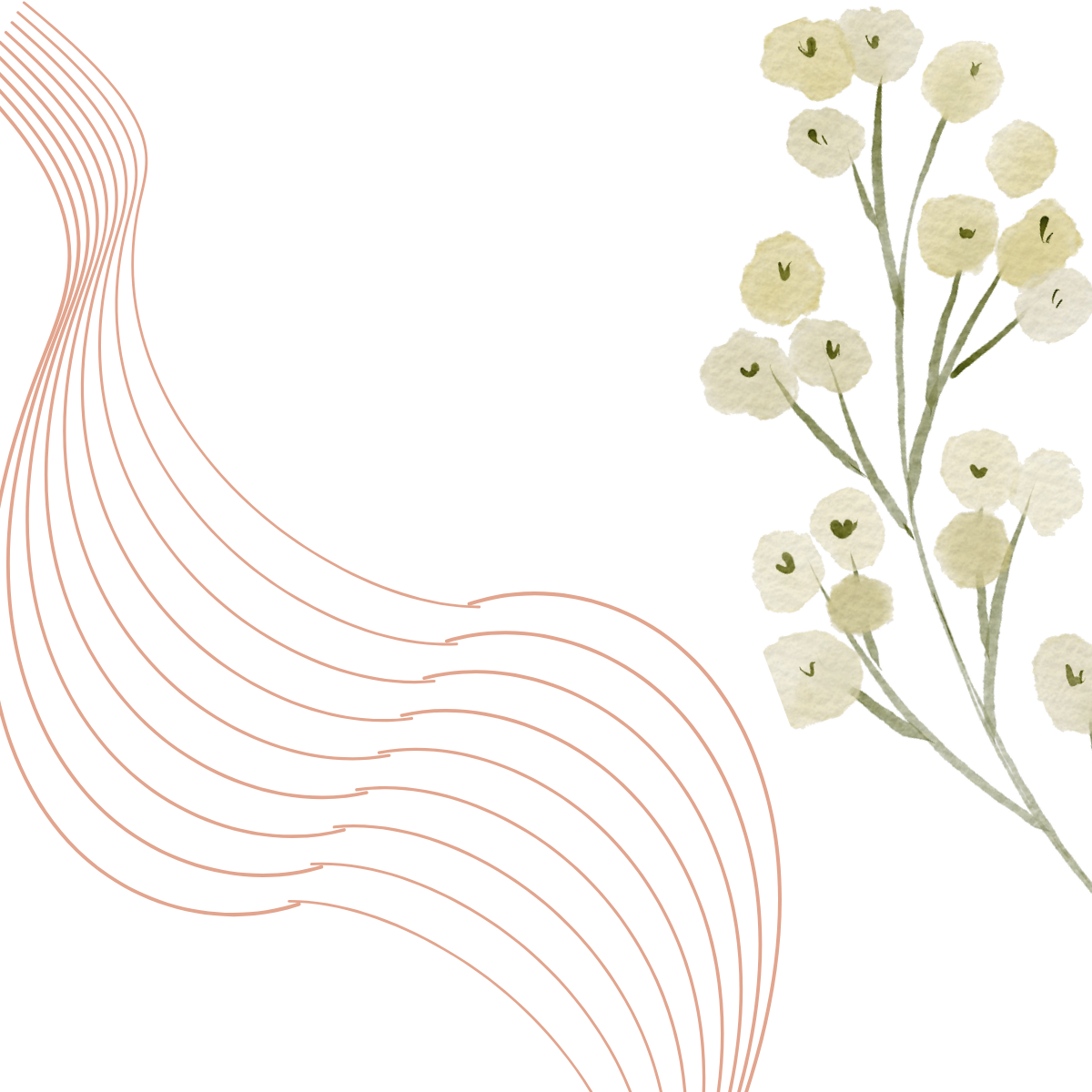 Een bloem symbool voor de lente en een nieuw begin. 