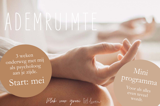 Mini programma Ademruimte
