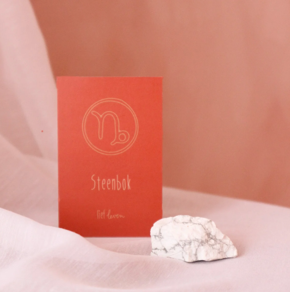 Edelsteen Sterrenbeeld Steenbok • Howliet wit