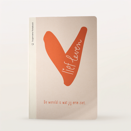 Journal – De wereld is wat jij erin ziet