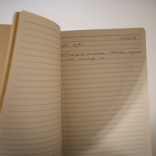 Journal – De wereld is wat jij erin ziet
